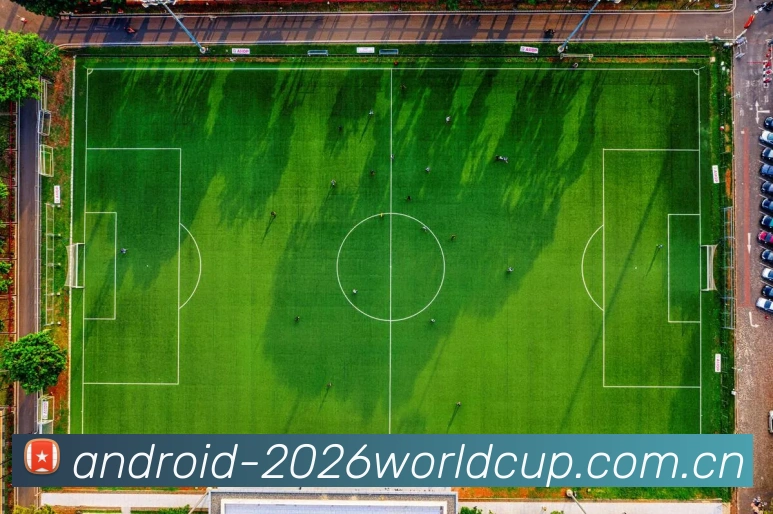 2026世界杯官方数据平台